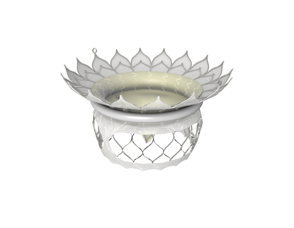HighLife Receives CE Mark Approval for Clarity Valve, the Next-Generation Valve for the HighLife TMVR System 1 highlife clarity valve